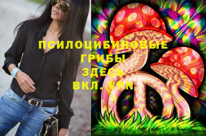 Галлюциногенные грибы Magic Shrooms  Кемь 